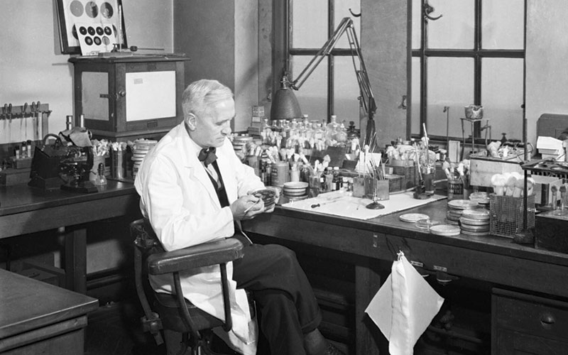 Alexander Fleming iwm via wiki